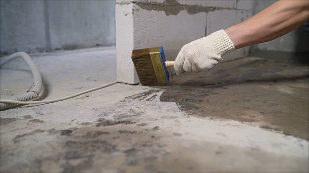 Crawl space vapor barrier installation in Cowlesville, NY